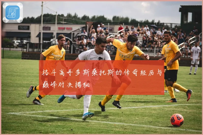 格斗高手多斯桑托斯的传奇经历与巅峰对决揭秘