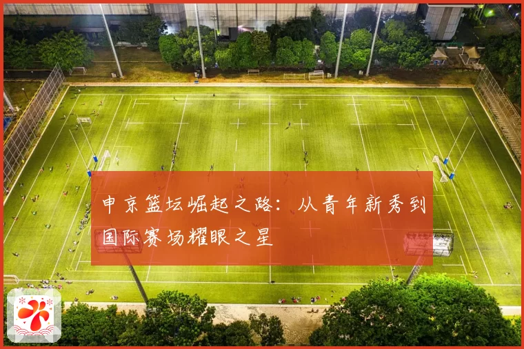 申京篮坛崛起之路：从青年新秀到国际赛场耀眼之星