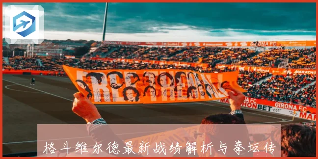 格斗维尔德最新战绩解析与拳坛传奇生涯全面回顾