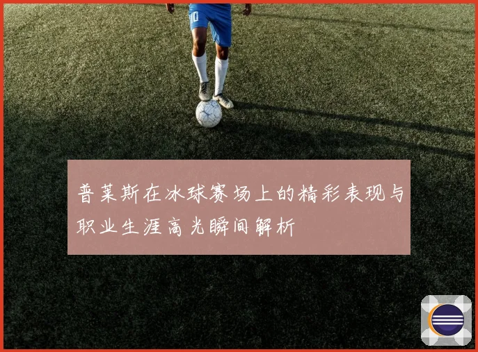 普莱斯在冰球赛场上的精彩表现与职业生涯高光瞬间解析
