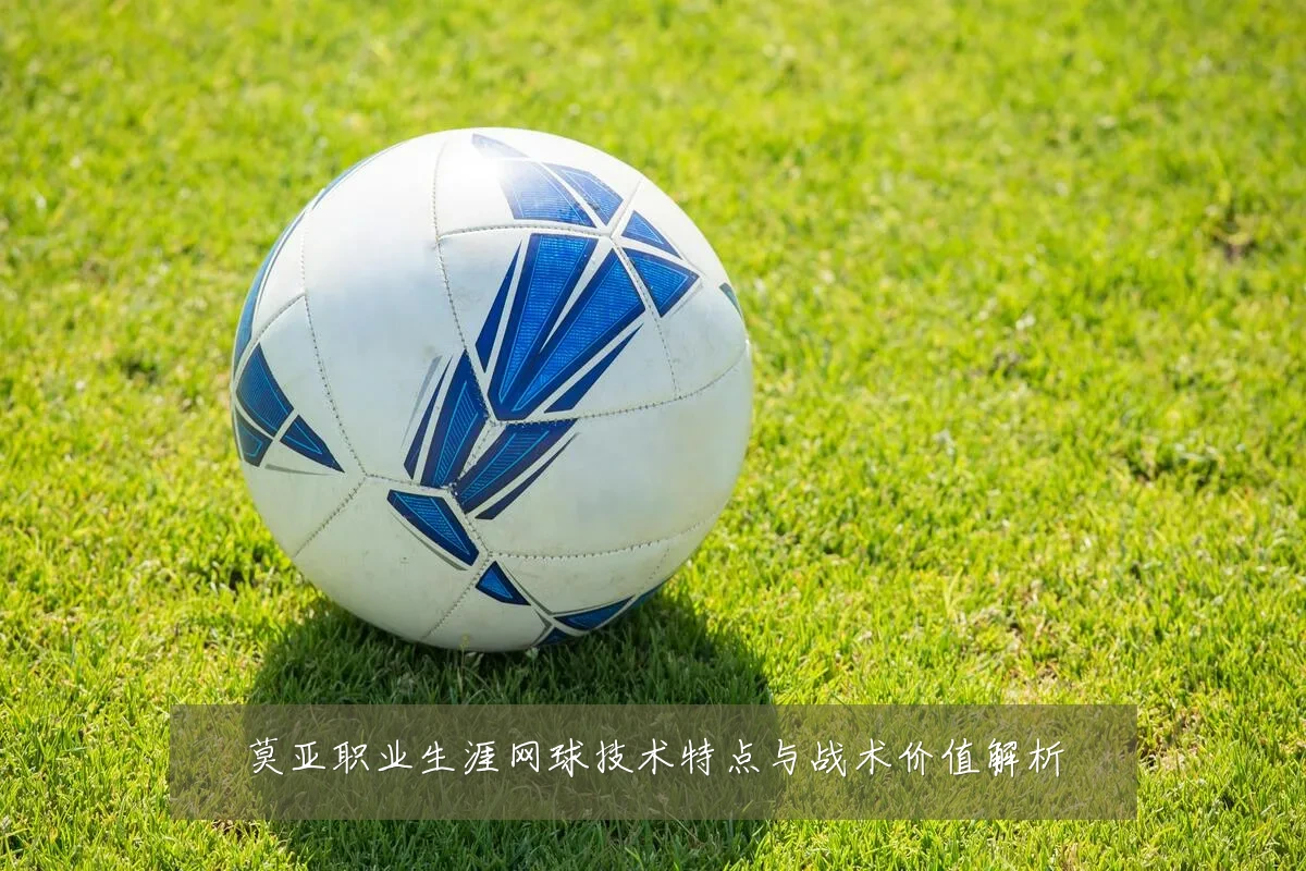 莫亚职业生涯网球技术特点与战术价值解析